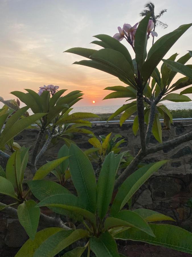 Spice Of Ceylon Hotell Chilaw Eksteriør bilde